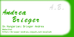 andrea brieger business card